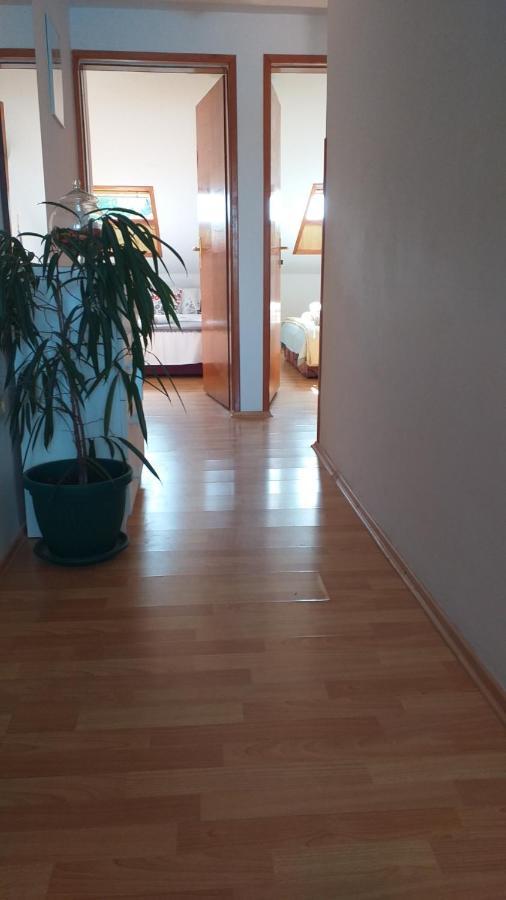 Apartmani "Zuka" Korčula Zewnętrze zdjęcie