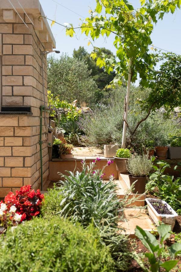 Apartmani "Zuka" Korčula Zewnętrze zdjęcie